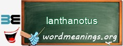 WordMeaning blackboard for lanthanotus